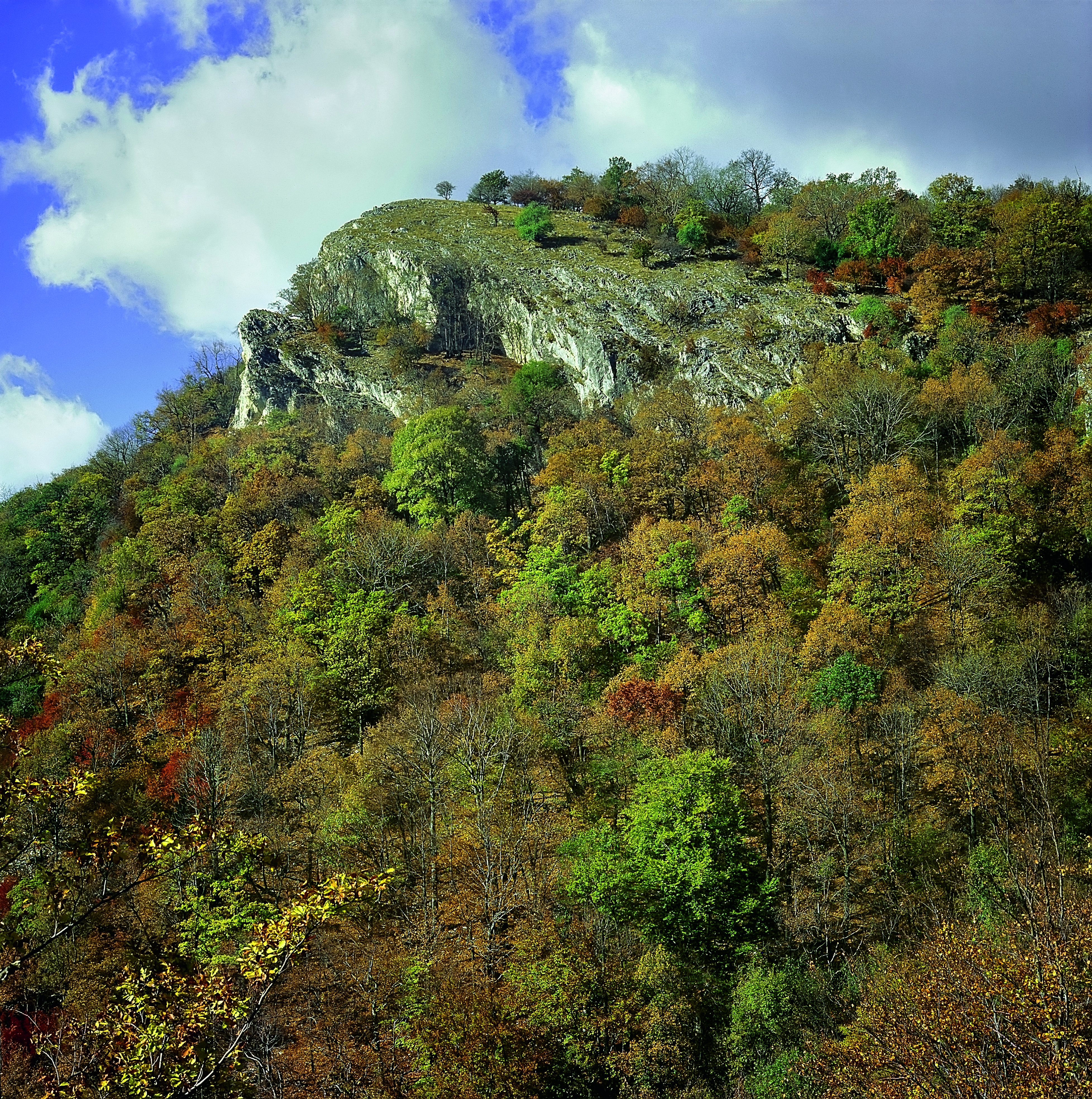 16. Tar-kő.jpg